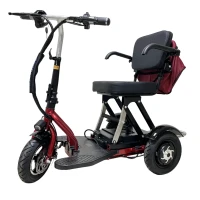 Трехколесный электросамокат Elbike Адъютант Twix 350 A2 (2x350W 48V 20Ah) Trike